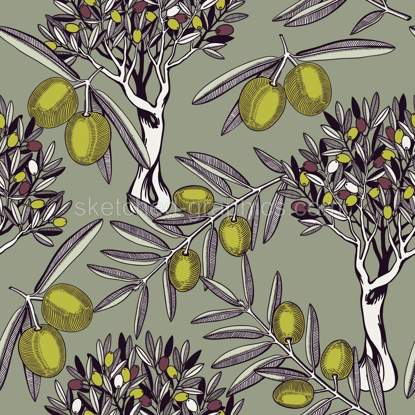 Olive tree vector background. Decorative twigs with leaves and olive fruit in color. Natural olive oil ingredient seamless pattern. Healthy food plant design for print or packaging Illustration